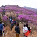 진달래식당 이미지