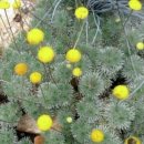 아지랑이 이미지