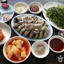 옛날토종국 Daum카페