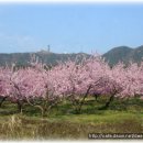 미륵목장 이미지