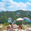 몽글몽글 구름 아래 토실토실 유산양! ‘한국의 스위스’ 몽토랑 산양목장 이미지