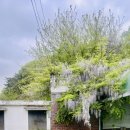 오창초 가좌분교 이미지