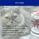 영등포동물병원 이미지