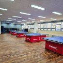 라이프 탁구클럽 이미지