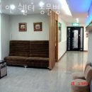 우리앤동물병원 | 성남 수내동 동물병원 펫 앤 쉘터 동물병원 위치 오는길 후기
