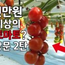 천만농장2 네이버블로그