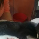 동양축산 이미지