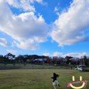 카페바라기 | 괴산 카페 :) 팜바라기 카페 내돈내산 솔직 후기/아이와 가볼만한 애견동반 가능 대형 카페 추천