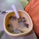 이조곰탕 - 구미시 | 전주맛집 송천동 복날 몸보신 추천, 이조곰탕 곰탕 도가니탕