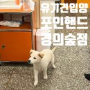 진지내6길 | [포인핸드 경의숲점] 유기견 입양 문화 알아보기｜반려동물 동반 가능 경의숲 카페