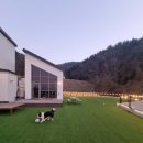 물안민박 | 두치네민박 반려견과의 여행, 여기가 진짜 추천!