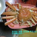 덕영목장 티스토리