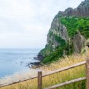 제주 오름 산책 이미지