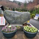 강화군 석모도자연휴양림 | 강화도 여행 석모도 자연휴양림 산림휴양관 꿀팁과 숲나들이 예약 성공 후기