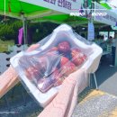 달달한오후 | 9월 전남 축제 영암 무화과축제 달달한 후기