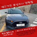 넥스가드부산지사