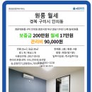 수출대로-23 이미지