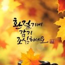 은희야 이미지