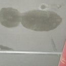 카앤피플샵남양주 네이버블로그