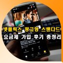 넷플릭스 광고형 스탠다드 요금제 가입 후기 동시접속 총정리
