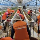 안산시 공직자, 서산시 고향사랑기부제로 1,040만 원 기부했다(서산태안신문) 이미지