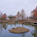 백운호수 제방 이미지