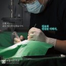 늘을1로16번길 이미지