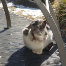 학익동물병원 이미지