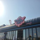 루이테라스(보사노바커피로스터스)