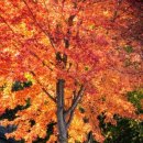덕산면033 네이버블로그