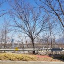 미루상회 이미지