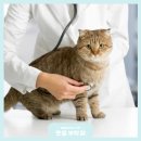 퍼스동물병원 이미지