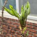 늘벗목장 이미지