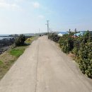 삼달2리 이미지