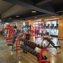 라이크 짐 이미지