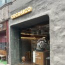 아오이서울 | 연남빵투어 코코리코, 아오이토리 후기