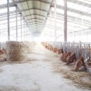 계화농장 이미지