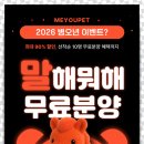 멍멍이와 야옹이 분양 미용 | 송파강아지분양 귀여운 비숑