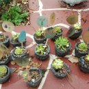 장전초등학교 병설유치원 이미지