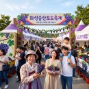 미디어월 퍼포먼스 ''''빛(licht)'''' | 경기도 하반기 축제 모음 어디로 갈까? 아이와 함께 필수 코스 11선
