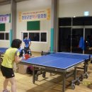탁구매니아