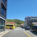 니어스 아이래쉬