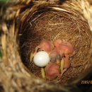 남촌농장 이미지