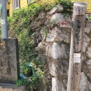 마천금계슈퍼 이미지