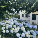 남상보건지소 이미지