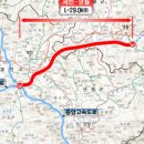 영월행정사사무소 이미지