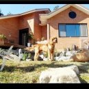 알콩달콩 이미지