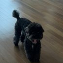 소래역로 30번길 이미지