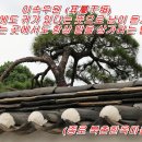 우원 이미지