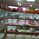 쌍방울애견 이미지